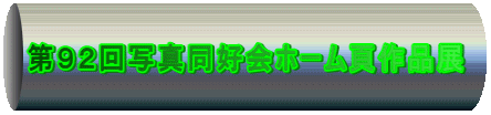 XQʐ^Dz[ōiW