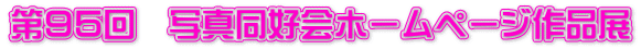 ��X�T��@�ʐ^���D��z�[���y�[�W��i�W