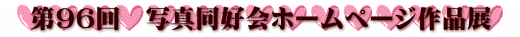 ��X�U��@�ʐ^���D��z�[���y�[�W��i�W