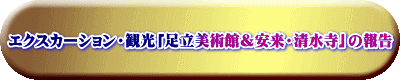 エクスカーション・観光「足立美術館&安来・清水寺」の報告